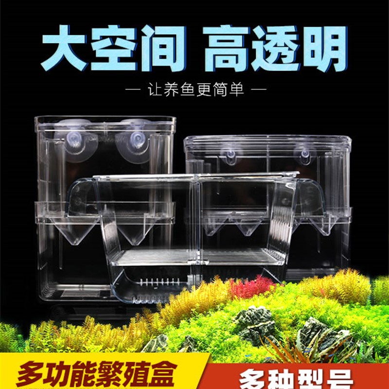 热带孔雀幼鱼产房多功能分养繁殖网隔分离盒悬浮专用斗鱼缸孵化器图片