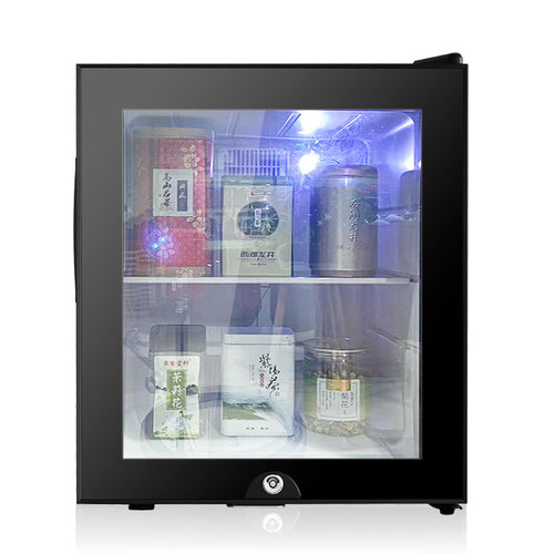 绿茶冷藏柜办公室家用小型冰吧茶叶储藏绿茶专用保鲜储存冰箱带锁