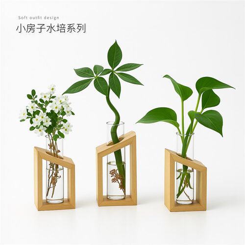 发财树水培植物室内绿萝竹柏九里香办公室桌面绿植水养小盆栽摆件
