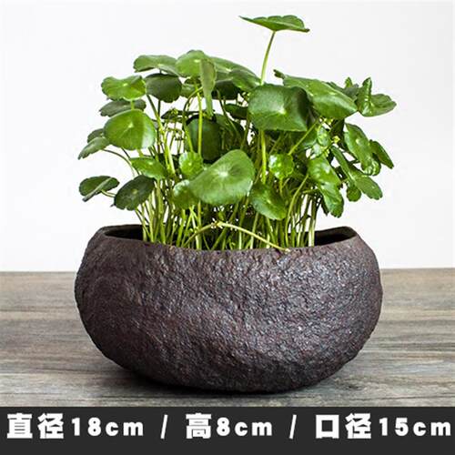 手工粗陶花盆 复古陶瓷花器 茶席摆件水盂 怀旧风多肉铜钱草花盆