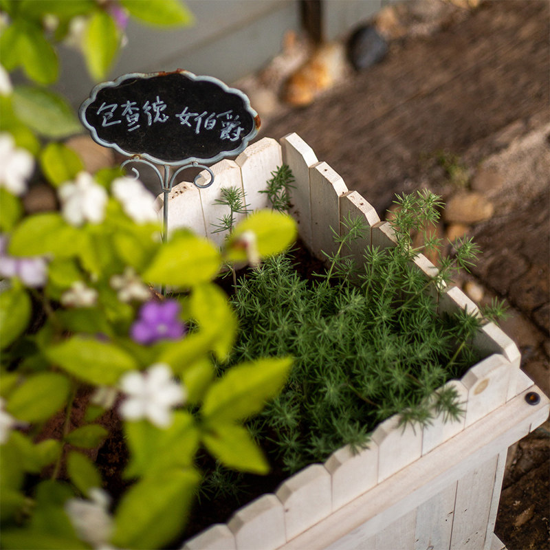 防腐木种植箱阳台种菜花箱长方形房顶实木户外蔬菜花槽多肉花盒