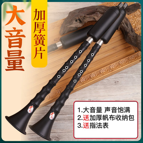 巴乌乐器竖吹小学生入门大音量喇叭g/f调专业演奏巴乌送教程收纳