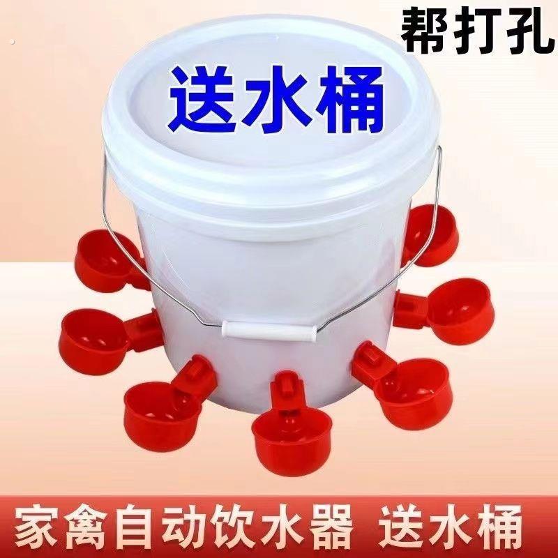 喂鸡食槽水槽一体喂鸡懒人神器出远门农村自动喂鸡家禽养殖小鸡鸭
