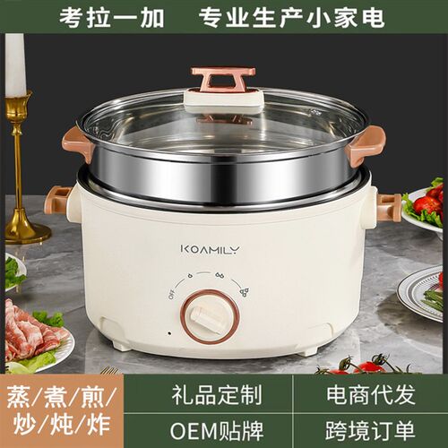 多功能电煮锅家用学生宿舍煮面小电锅电炒锅蒸煮一体火锅工厂直销