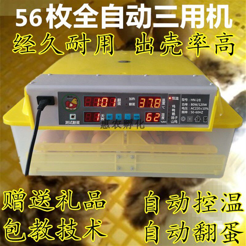 双电出化高电箱迷你孵雏机仿生乎化机用档养小鸡恒温孵化器蛋孵化