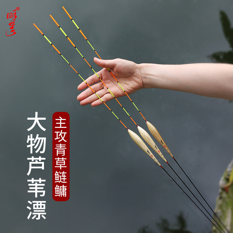 明孚大加坑苇漂物长行程翘嘴漂远投醒目黑芦青鱼草鱼浮漂鲢鳙鱼漂