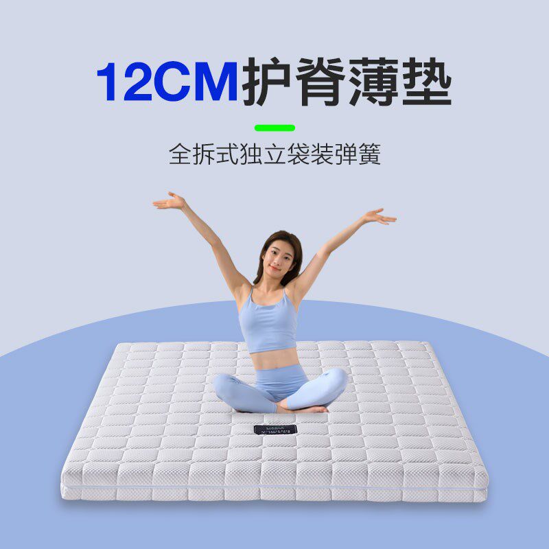 簧乐独立袋弹联高箱床垫硬梦思椰棕乳胶全拆式薄款12cm厚软席可选