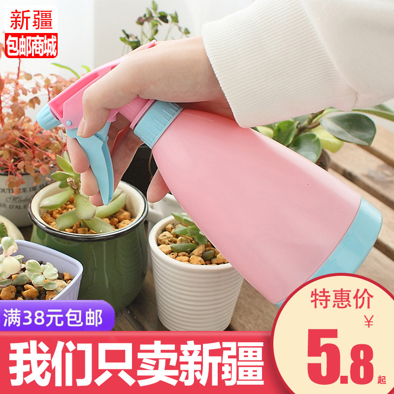 新疆包邮哥百货购园艺浇花小喷壶多肉植物喷水壶家用手压式喷雾瓶