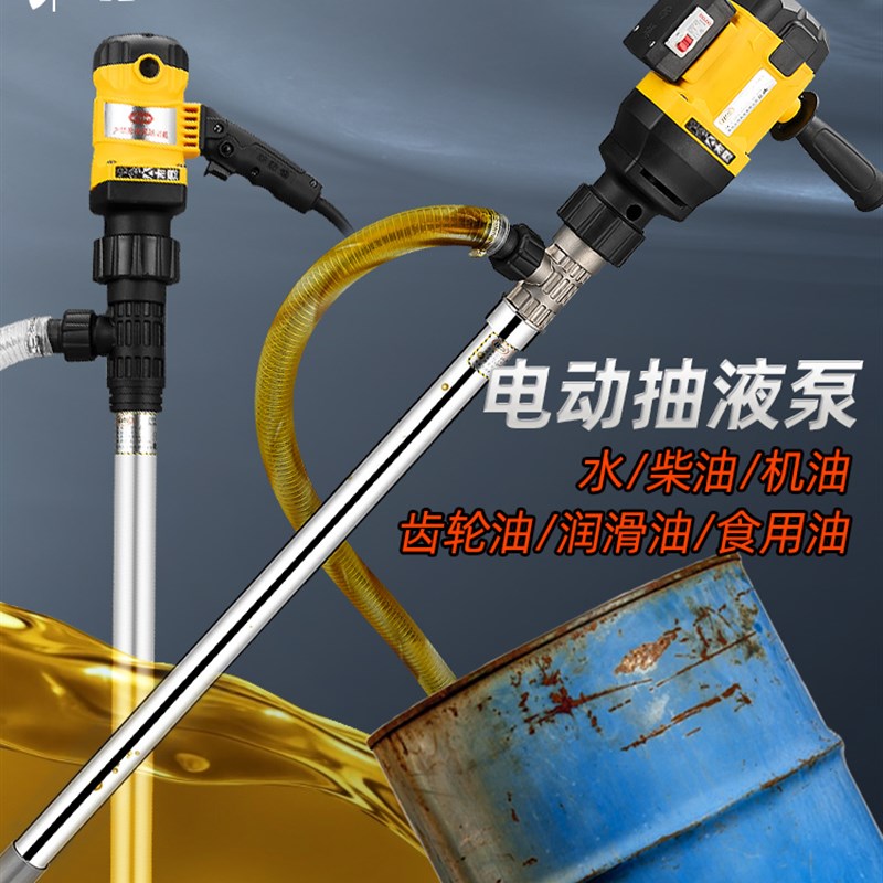 手提式大功率电动油桶抽油泵柴油220V抽油器加油泵防腐蚀抽液泵