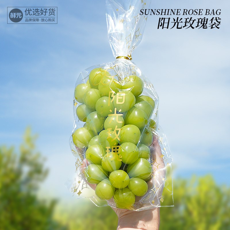高档阳光玫瑰T型水果袋大开口打孔透气保鲜袋巨峰葡萄晴王包装袋