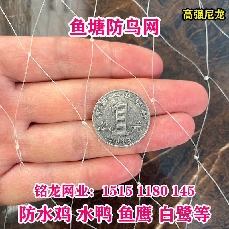 鱼塘塘鸟网泥鳅防天网养殖网牛蛙网鸟网眼尼龙综丝纱网防大用的网