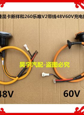 适用于御捷昆卡新祥和260乐唯V2带线48V60V充电插座御捷充电插座