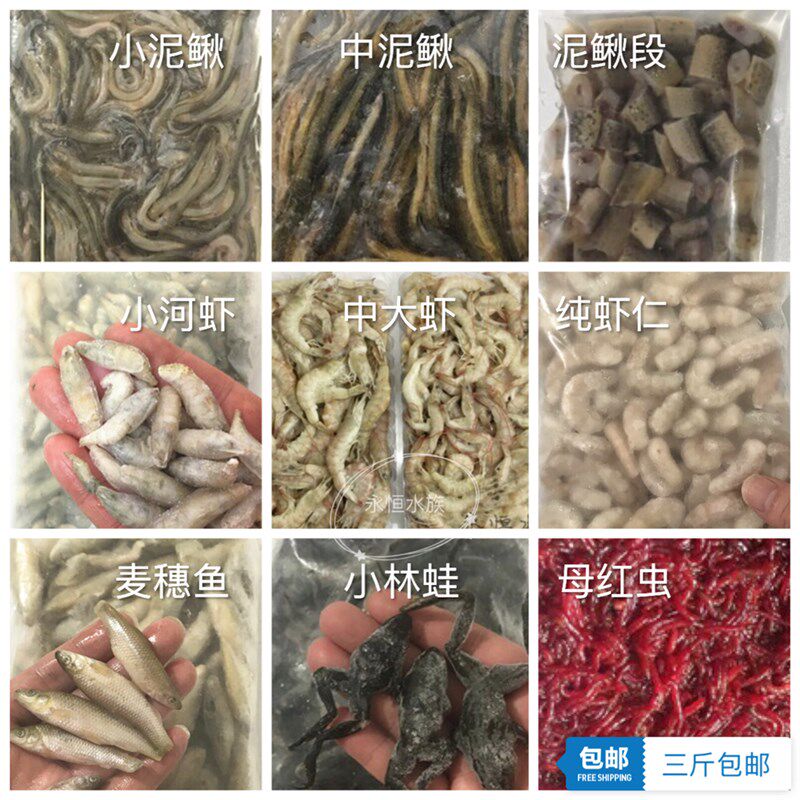 冻泥鳅段鱼饲料龙鱼鱼食包邮 新鲜速冻淡水小河虾虾仁虾段麦穗鱼
