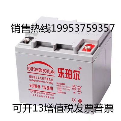 乐珀尔LOTPOWER蓄电池12V38AH消防机/基站LP38-12监控UPS机房应急