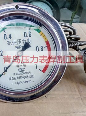 软管连接压力表青岛冠力特种仪器仪表厂
