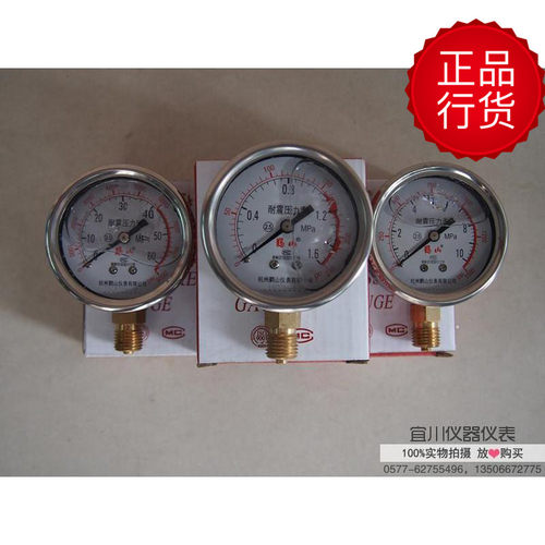 杭州鹳山 YN60 YN60ZT 耐震压力表 灌油压力表 多规格 径向轴向