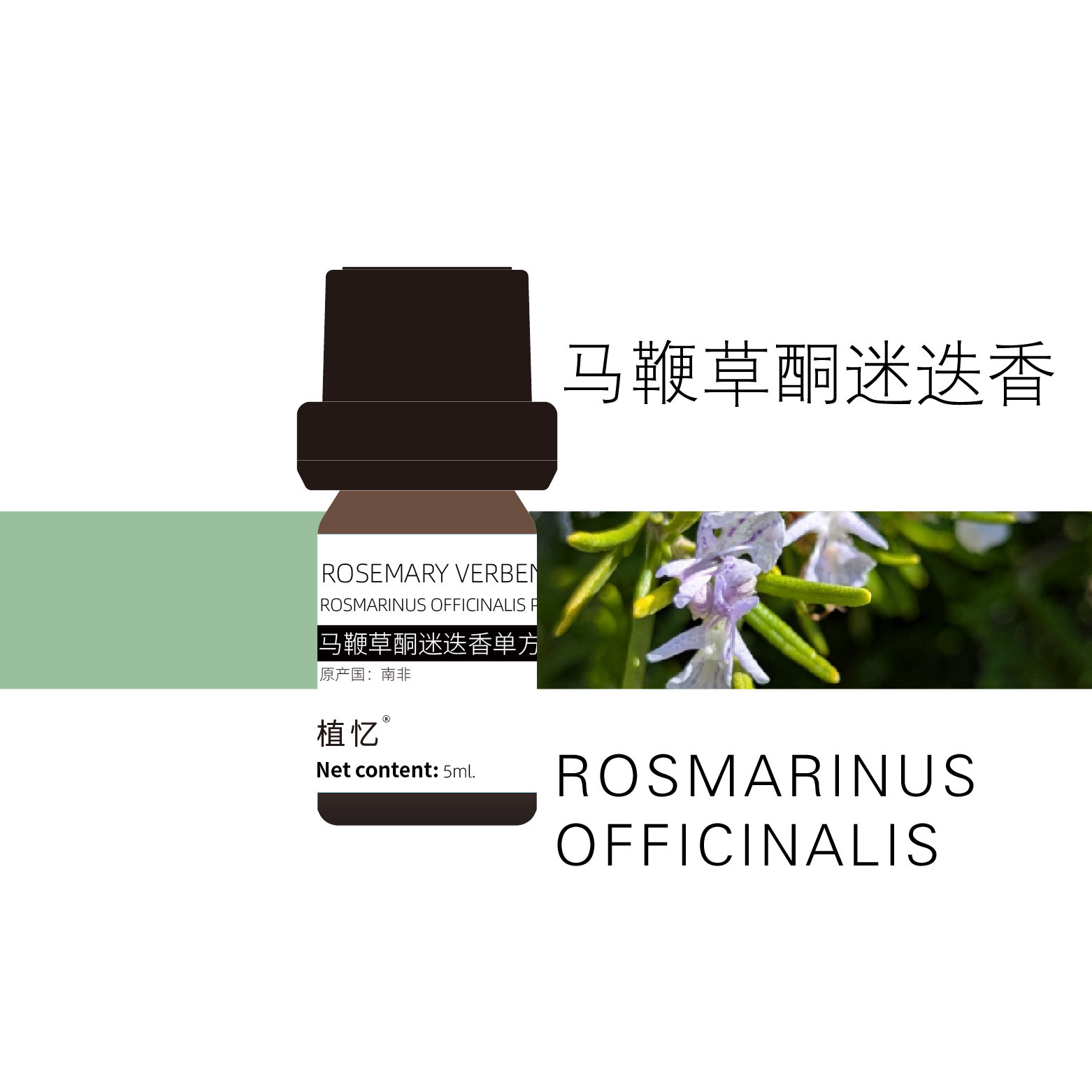 植忆南非马鞭草酮迷迭香精油清新提神珍稀草本木质果香唤醒活力图片
