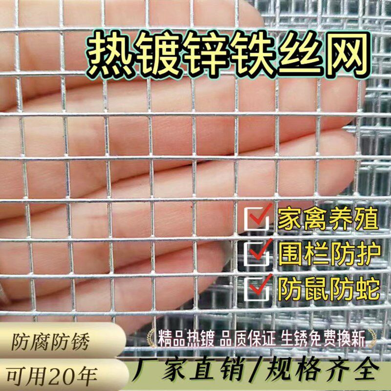 热浸镀锌铁丝网防鼠蛇网生塘养殖不地围栏网阳台防护圈鱼锈铁丝网