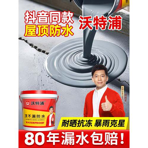 沃特浦屋顶防水补漏专用防漏胶平房楼顶裂缝渗水堵漏材料外墙涂料