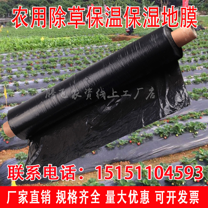 黑白保湿除草保温膜草莓种植农用膜果树双色银黑用膜农地色色保温