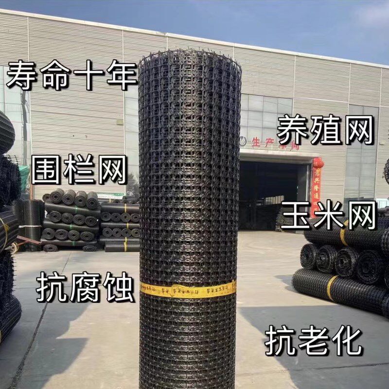 养网网大棚防护鸡家用拦鸡网菜园围栏网屋顶装饰网胶网黑色塑料网