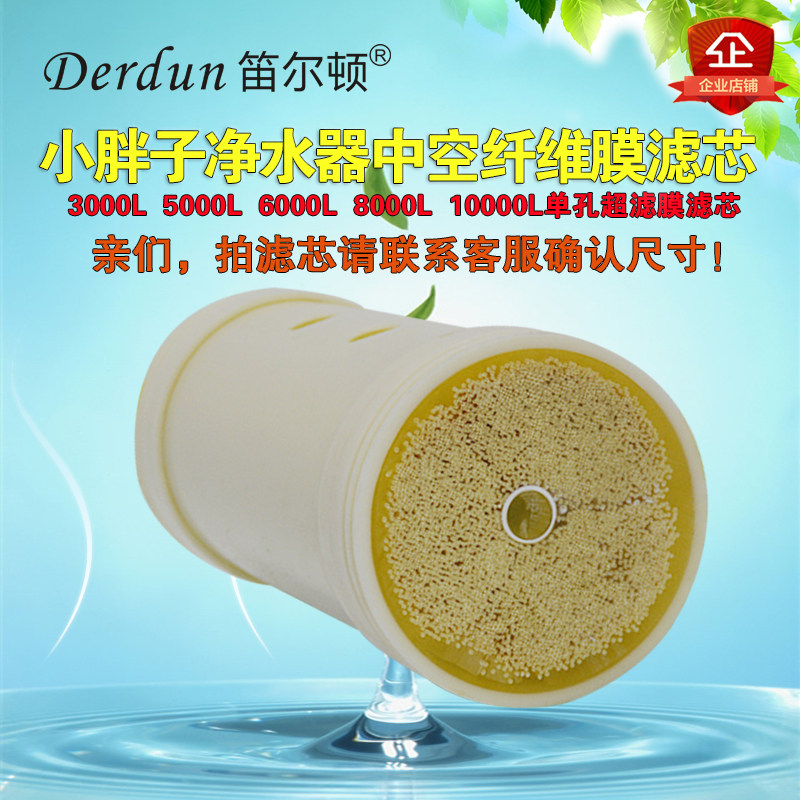 笛尔顿家用水管过滤器自来水井水净水器滤芯