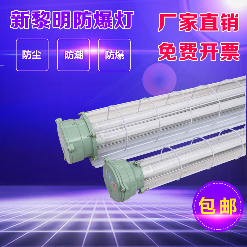 LED防爆灯仓库厂房车间照明防爆灯罩日光灯双管单管40w防爆荧光灯