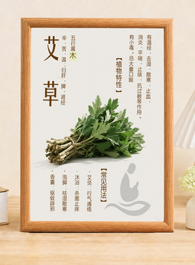 艾草知识介绍装饰相框中医馆养生馆茶室背景墙装饰摆画