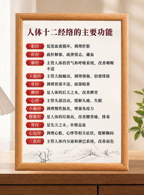 人体十二经络主要功能装饰画中医养生馆理疗馆经络知识装饰框
