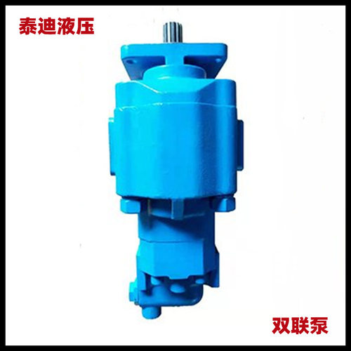 JHP3100/02010-XF双联齿轮泵 临工968V 装载机转向泵 4120002519