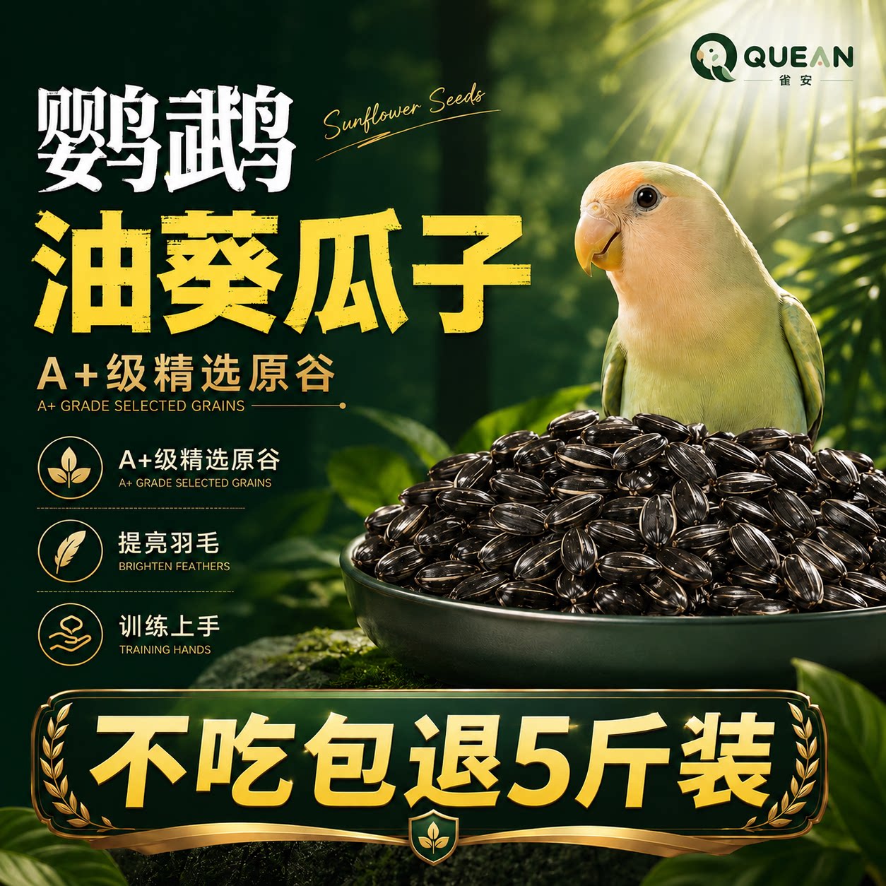 【鹦鹉专用零食】训练奖励