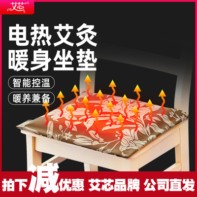 艾芯电加热艾家绒坐垫子灸发热椅艾垫小电褥子毯办公室草用女插电