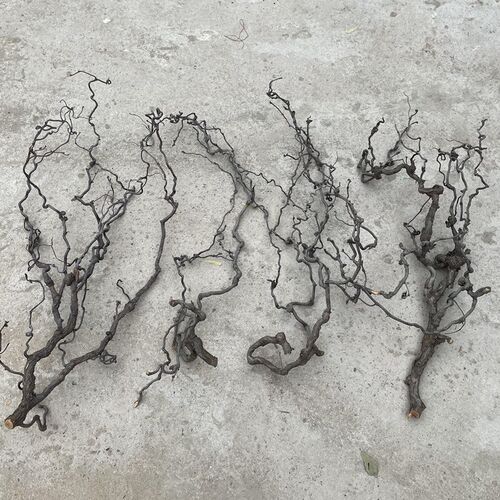 树枝装饰原枝壁挂天然多分叉龙枣树枝挂墙木架手工干衣枯树枝摆件
