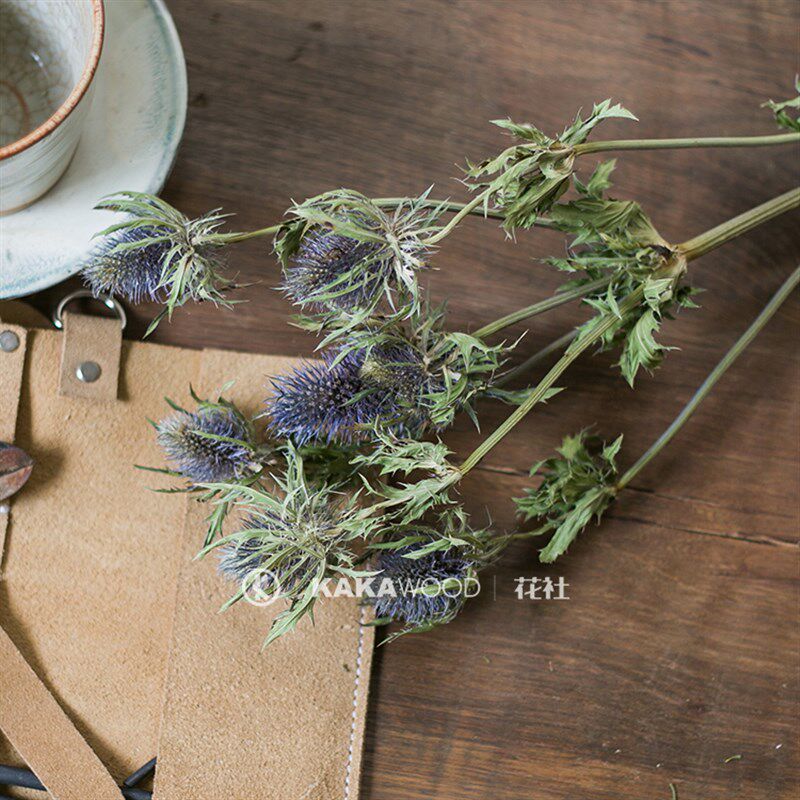北居天然干道真花风干蓝色插花摄影花具橱窗设计家欧装饰品大刺芹