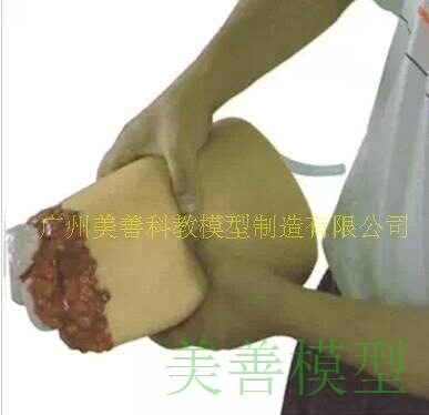人体大腿断肢包扎止血模型 腿部断肢急救 下肢外伤断肢止血模型