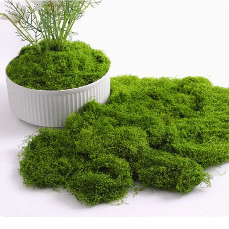 仿真苔藓造景假青苔毛线r草皮绿植微景观植物装饰人造仿生草坪石
