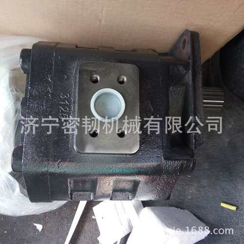 SL60齿轮泵CBGJ3125C装载机SL30泵