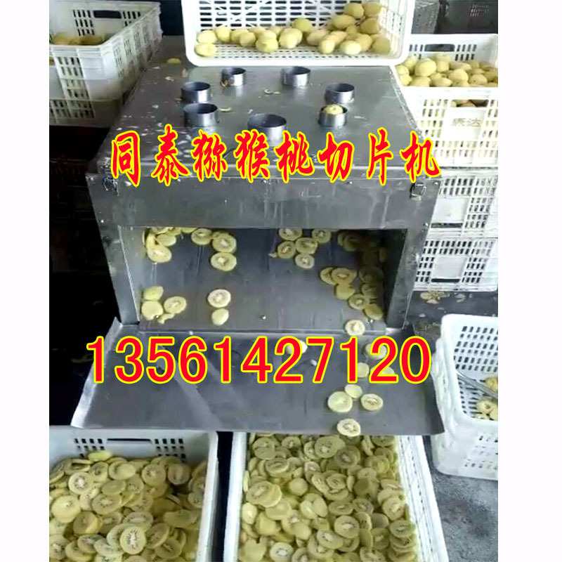 TQP500型猕猴桃/柠檬/凤梨/雪梨定向切片机 多功能水果切片设备