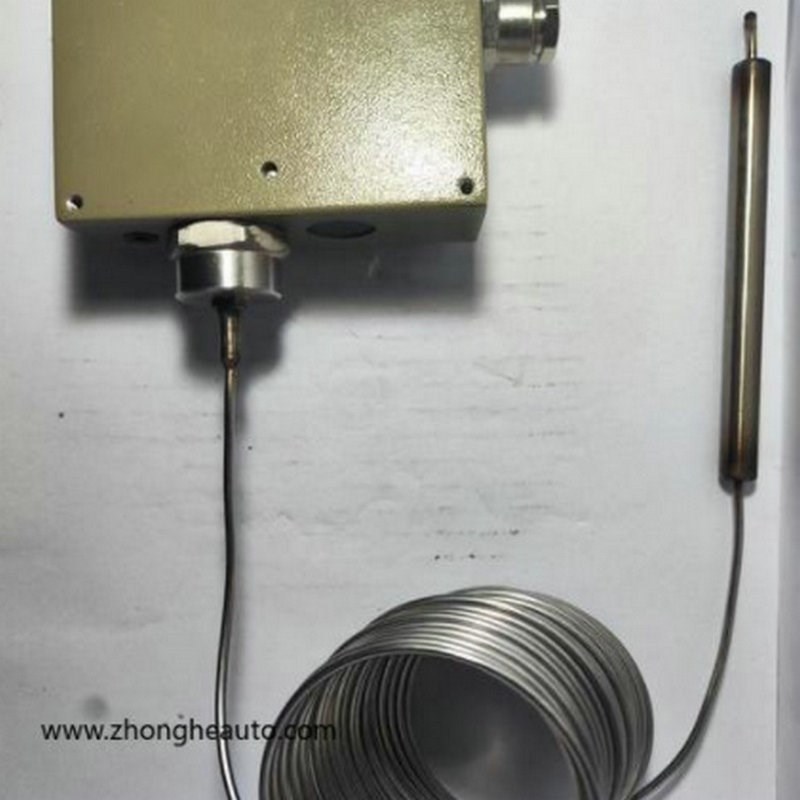 D541-7T/D541-7TwK防爆型压力控制器机械式微动可调差压开关