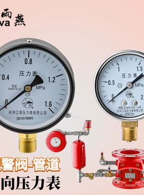 湿式报警阀压力表Y60管道Y100径向雨淋阀16预作用装置 试压水压表