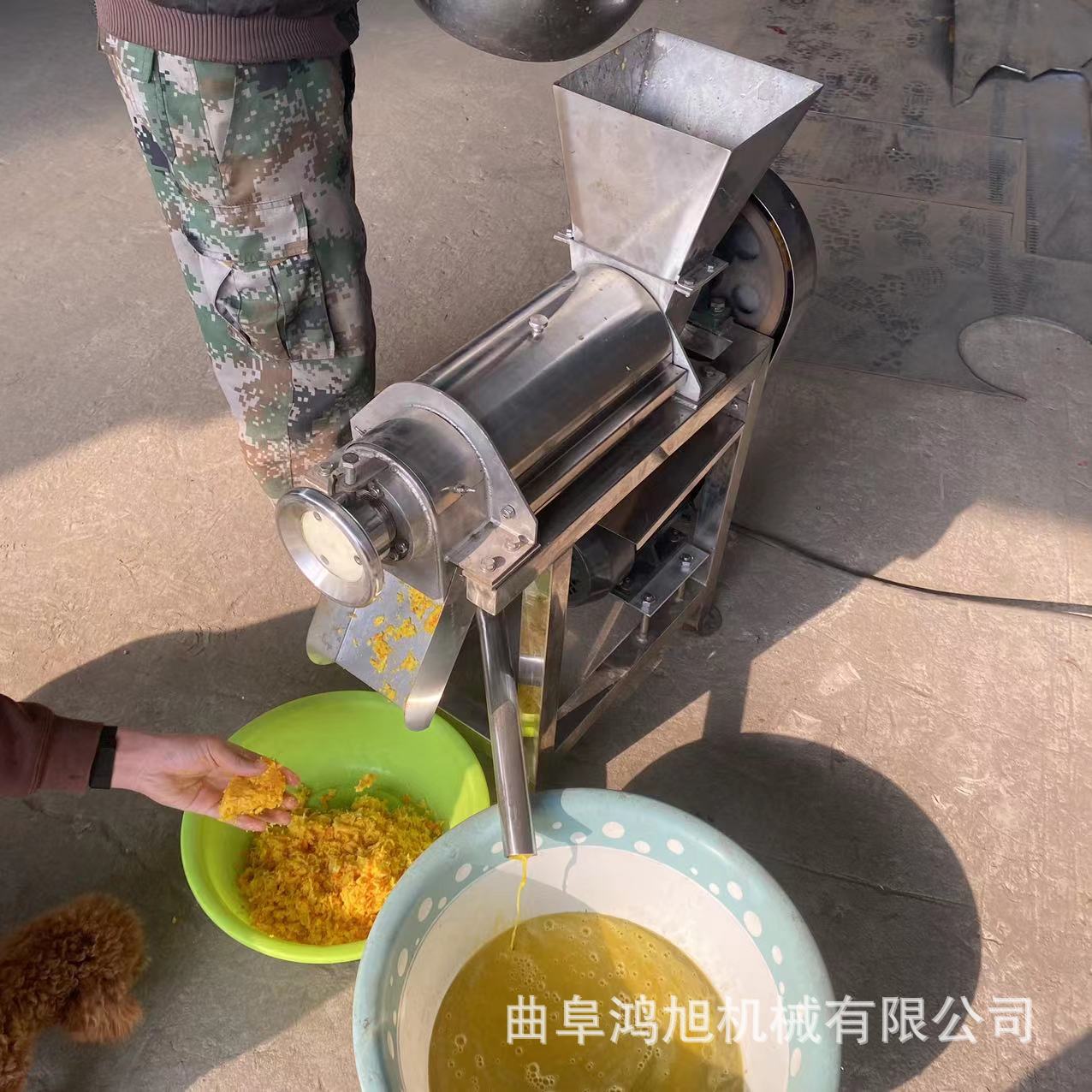 蔬菜挤汁机器 渣汁分离山莓螺旋榨汁机 304不锈钢西红柿打浆机
