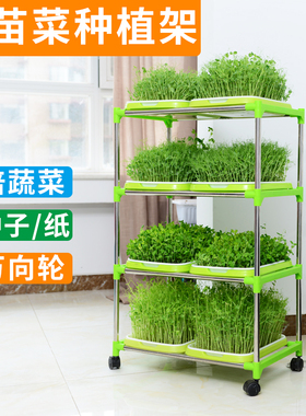 芽苗菜育苗盘架子豆芽盆水培蔬菜容器无土栽培豌豆尖小麦草香椿芽
