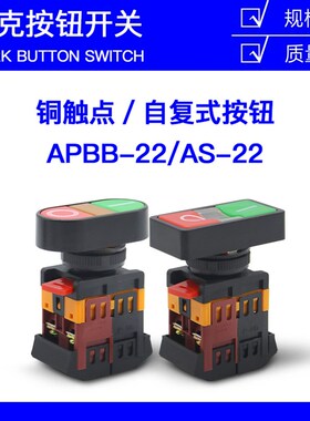按钮开关APBB AS-22/25/30粗椭圆带灯双头按钮 220v/380v面板安装