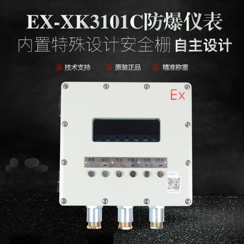 柯力XK3101C防爆仪表地磅电子秤汽车衡称重显示器化工防爆显示器