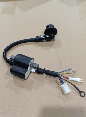 24V驻车发电机高压包148F变频静音发电机高压包点火器8线点火线圈