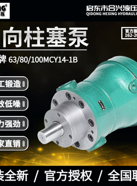 启东1压机械2.5//0/25140/63/80/液60/250MCY14-1B轴向柱塞泵