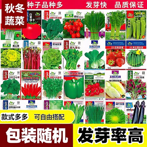 秋冬蔬菜种子大全白菜萝卜菜种子种子多发芽率高88vip2元包邮商品