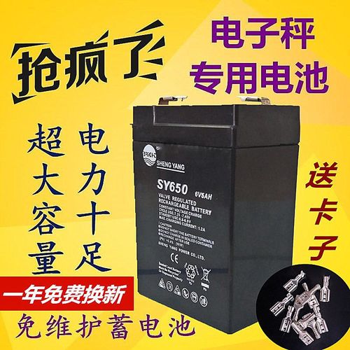 旺威电子秤电池地应急灯WW450D4V4AH20HR6V4v4ah6v计价伏友声电瓶