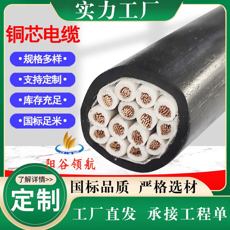 国标铜芯电力电缆 控制屏蔽电y缆电线阳谷电缆 特种电缆定 制加工