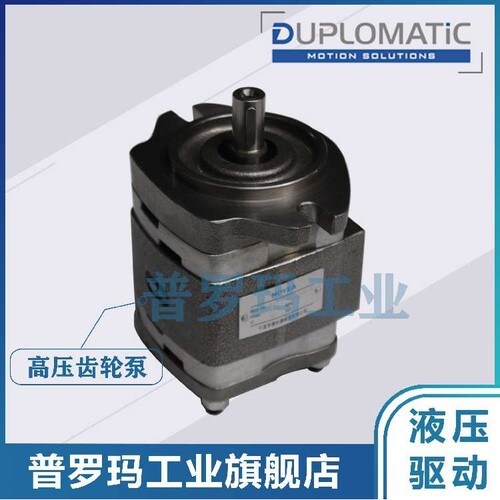 意大利DUPLOMATiC油泵IGP5/IGP6-032/40/50/64/80/100/125-R01/10